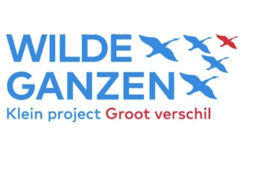 Logo Wilde Ganzen